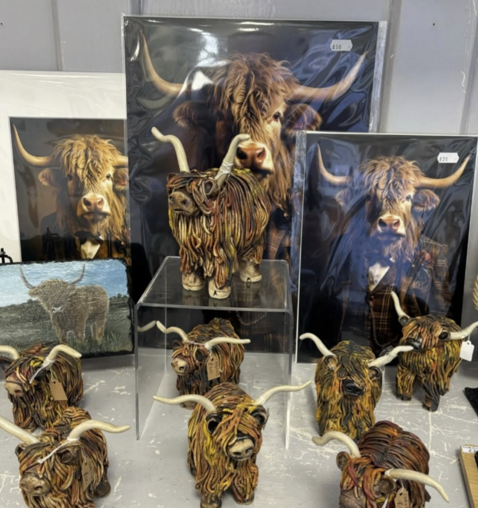 Highland Cows
