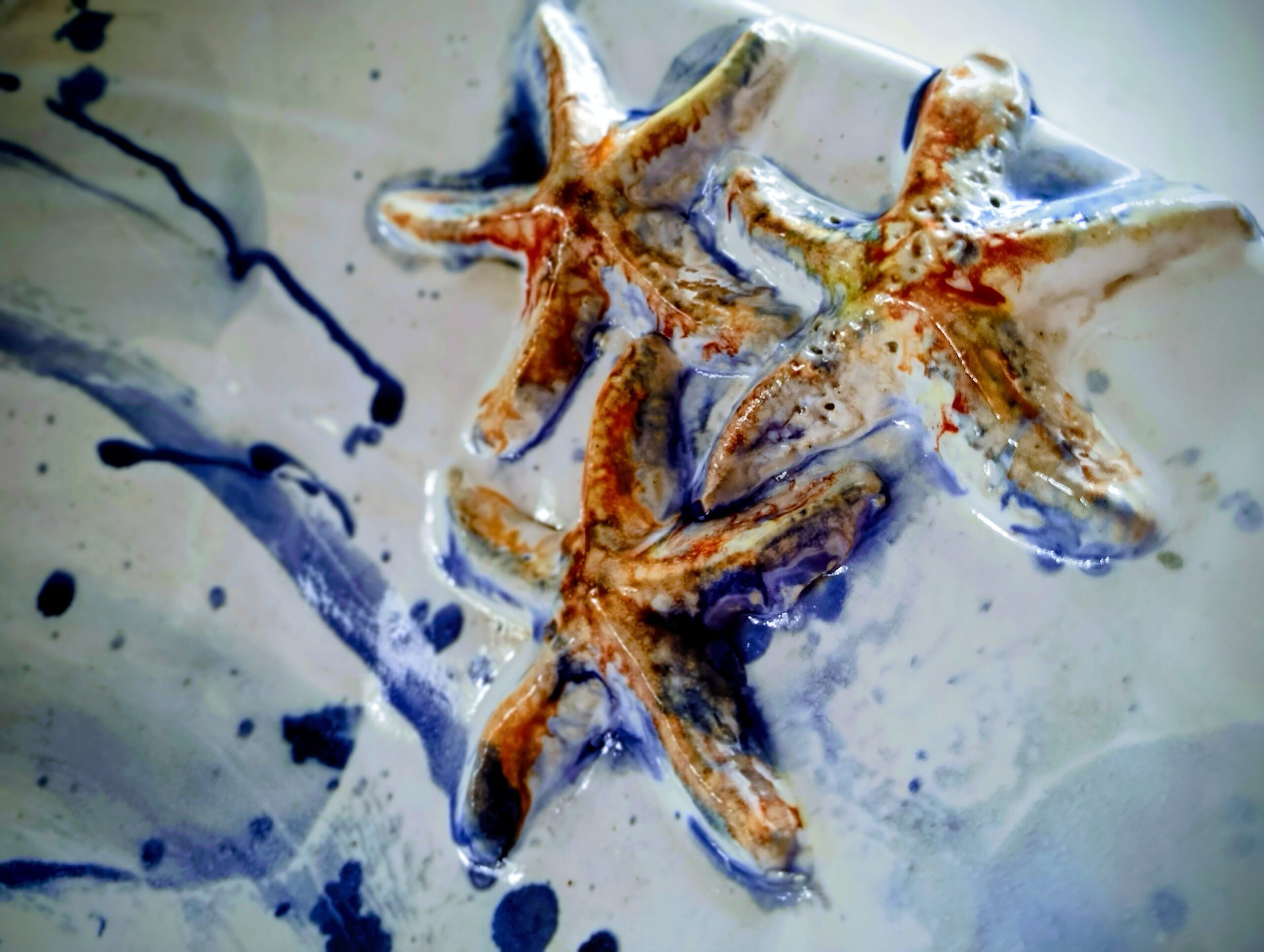 IMG_20260226_124404002_PORTRAIT~2