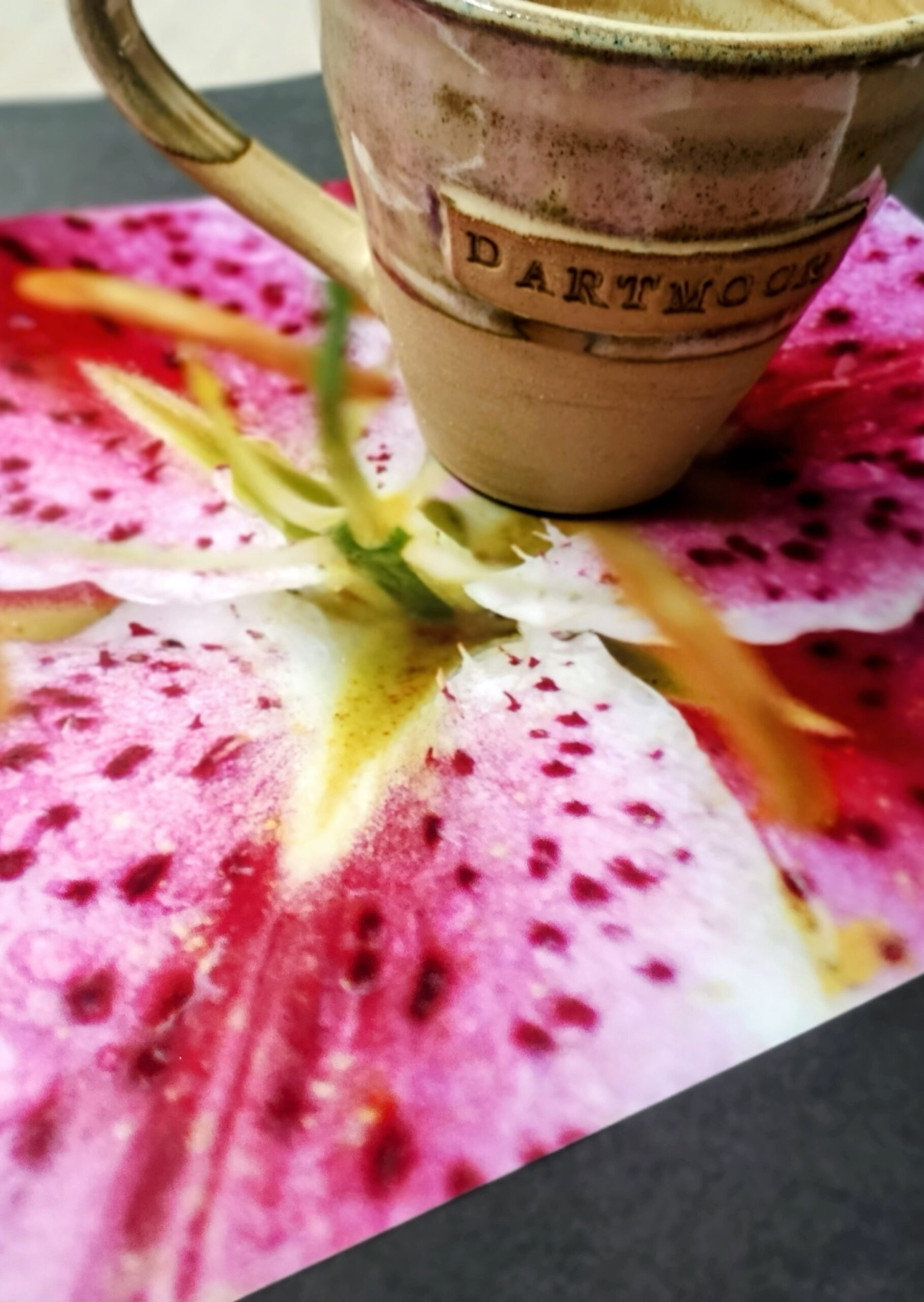 IMG_20260226_125249292_PORTRAIT~2