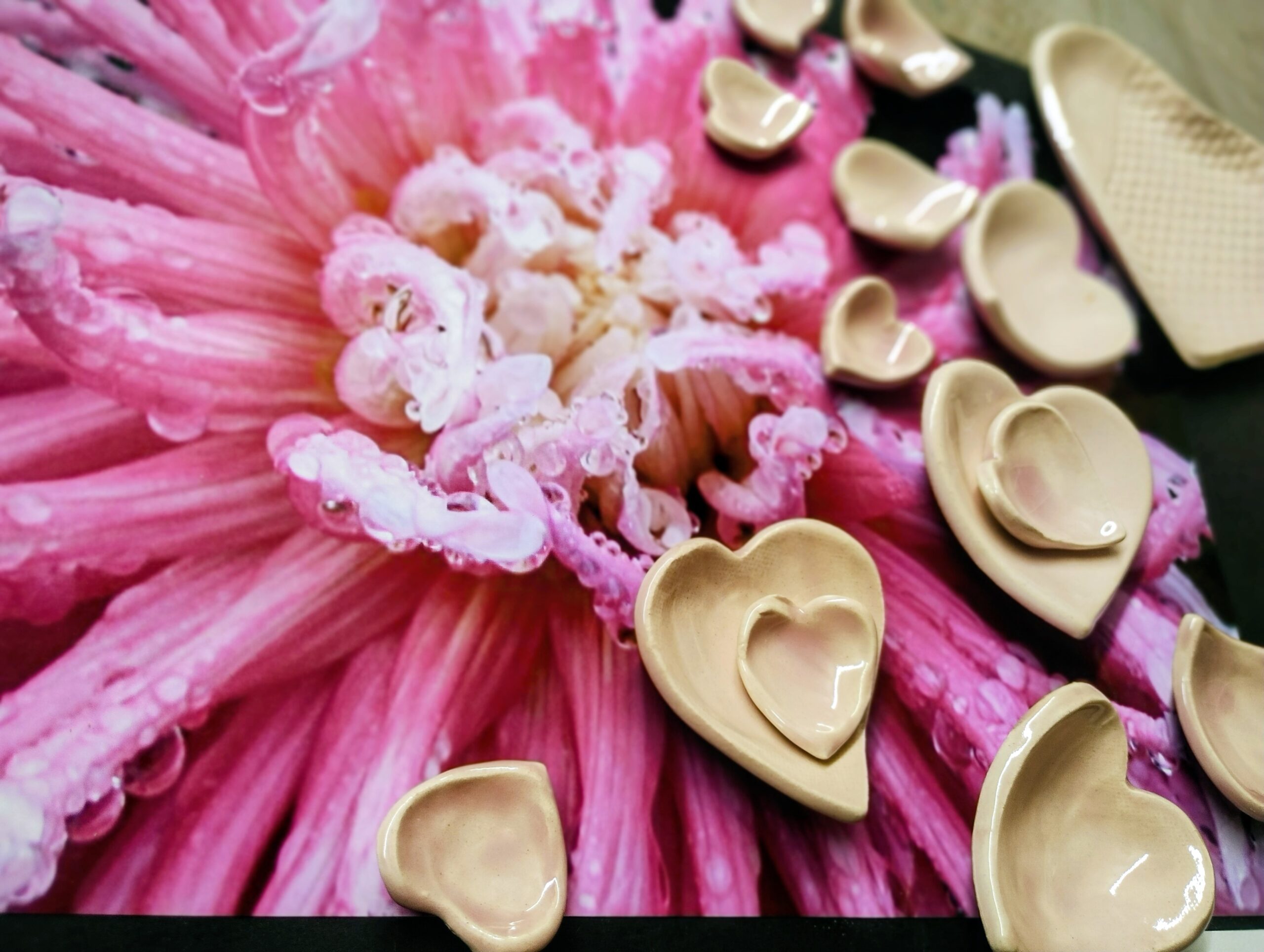 IMG_20260226_125702332_PORTRAIT~2