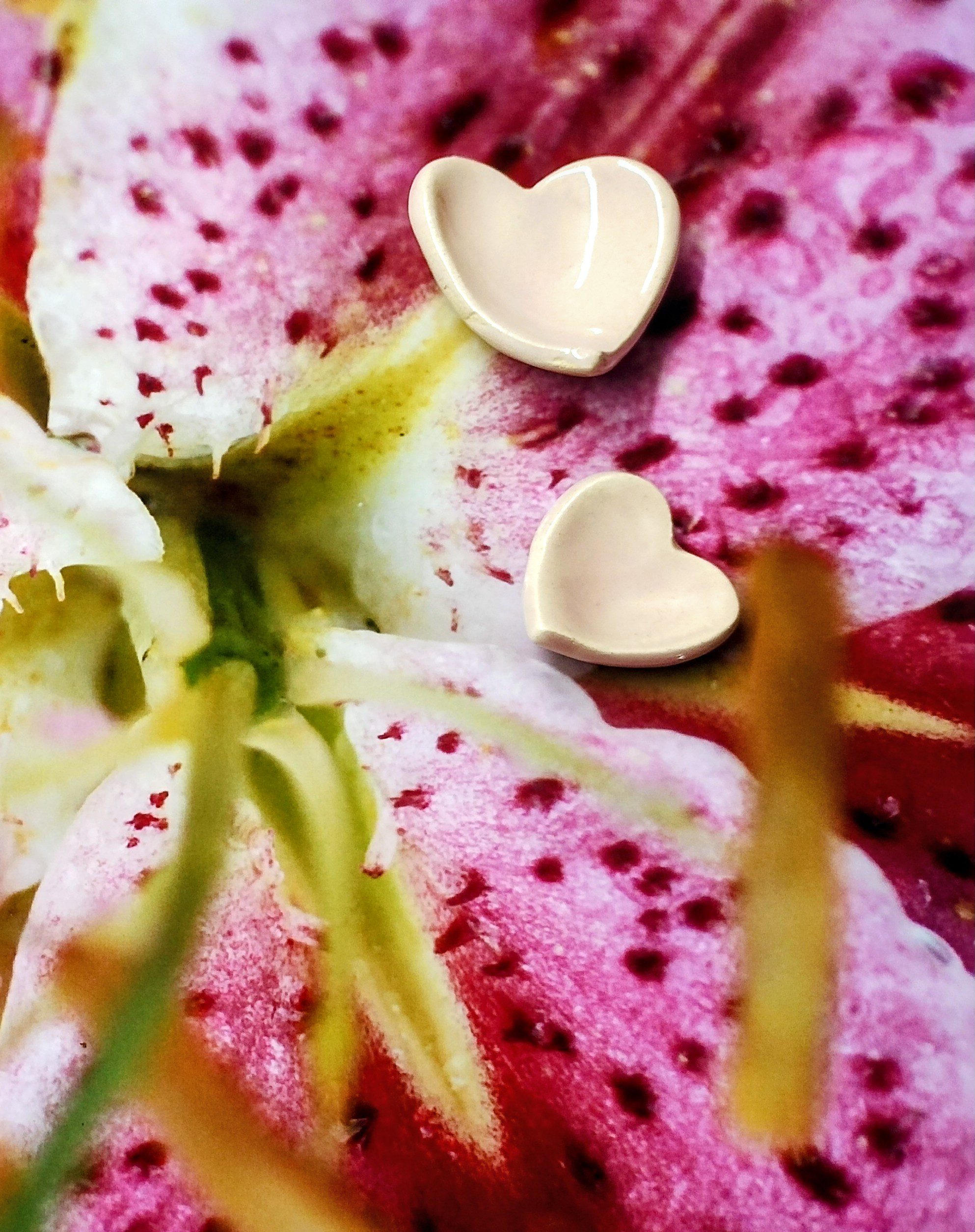 IMG_20260226_125824474~2