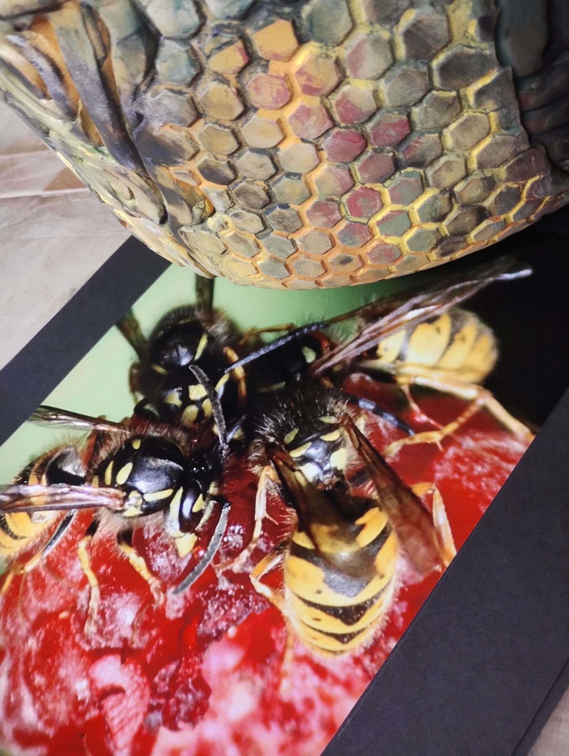 IMG_20260226_125931212_HDR