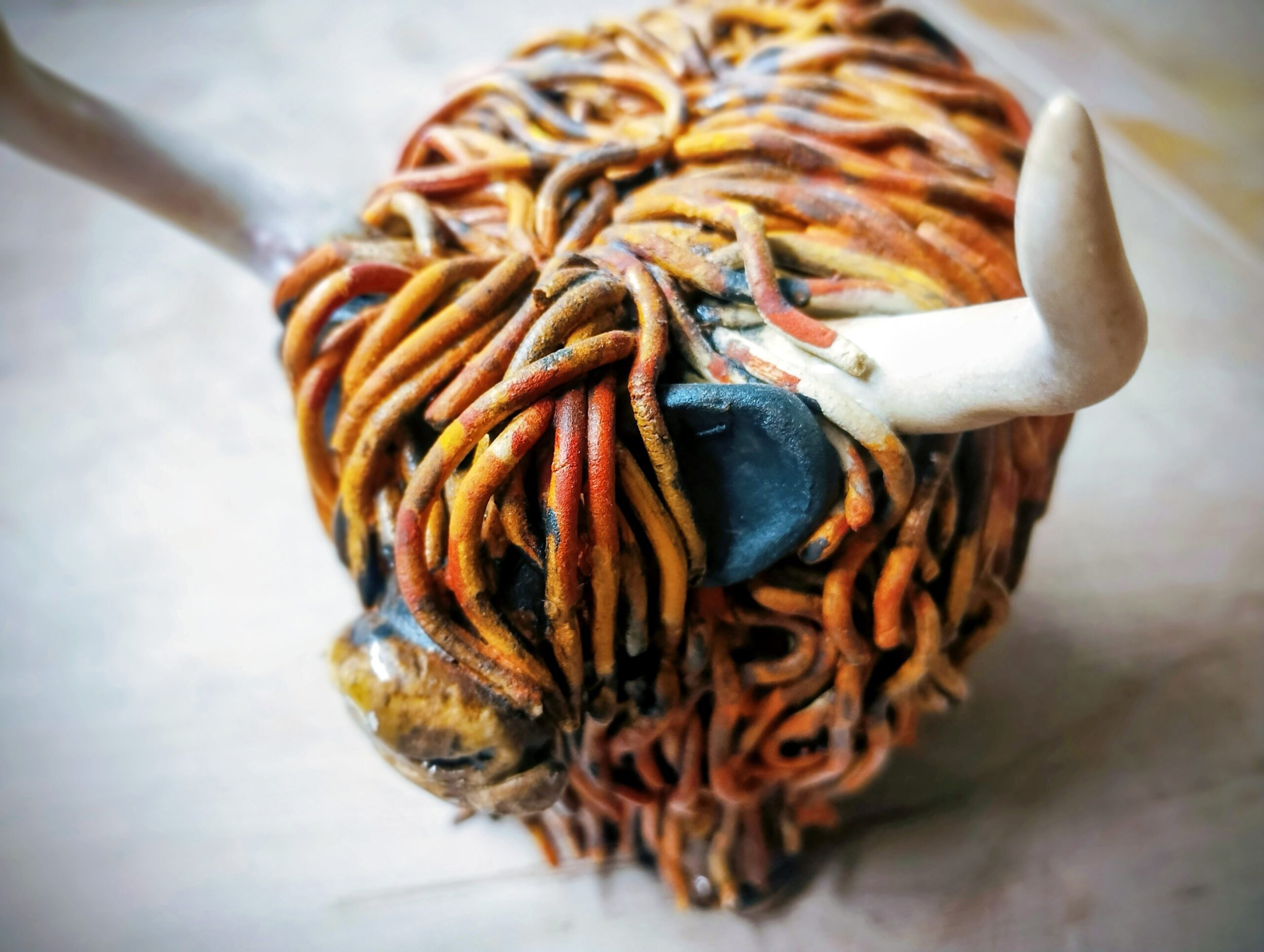 IMG_20260226_130254674_PORTRAIT~2