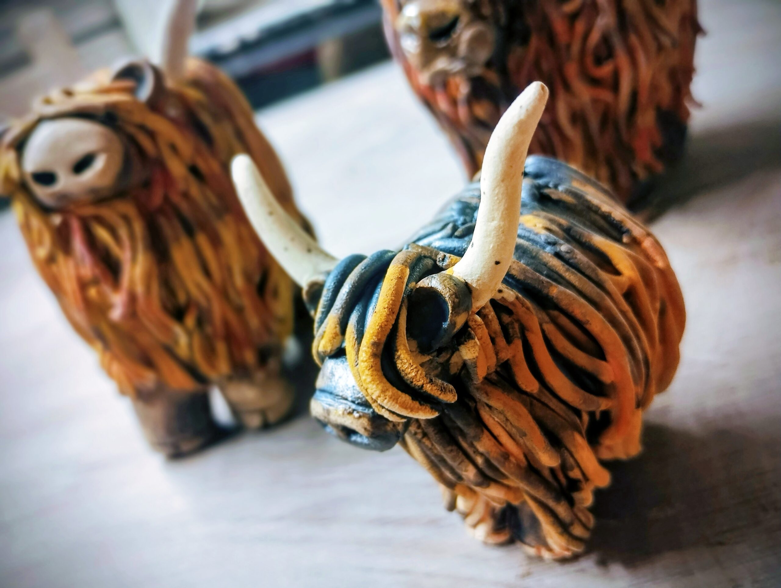 IMG_20260226_130354427_PORTRAIT~2