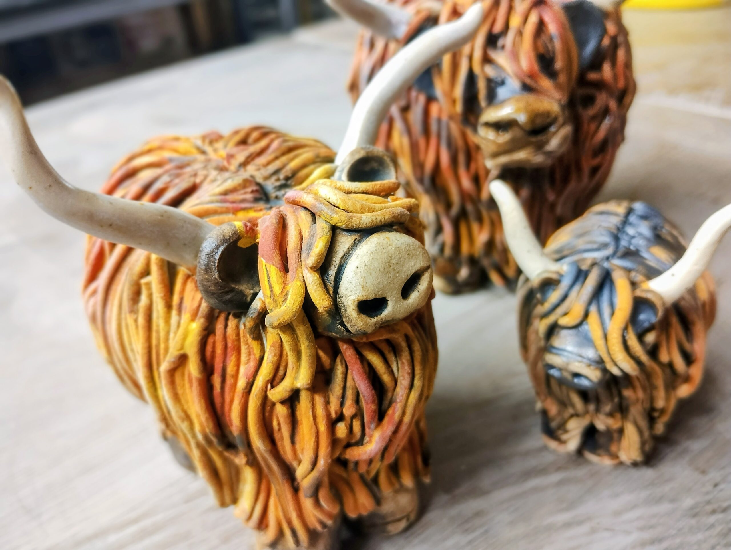 IMG_20260226_130403498_PORTRAIT~2