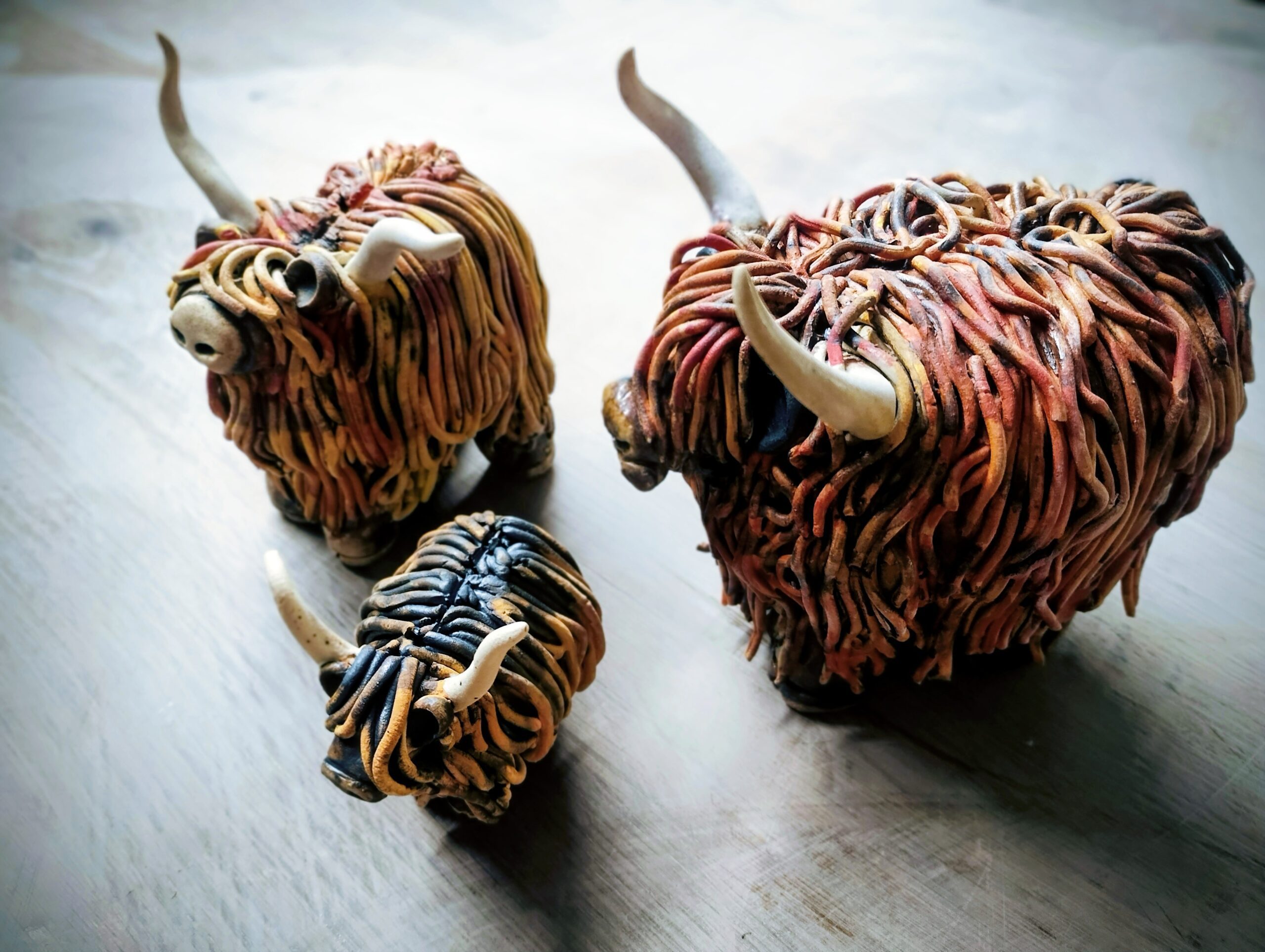 IMG_20260226_130419350_PORTRAIT~2